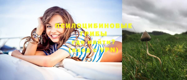 Альфа ПВП Бугульма