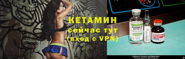 дмт Бородино