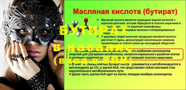 дмт Бородино