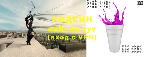 дмт Бородино
