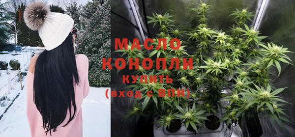 дмт Бородино