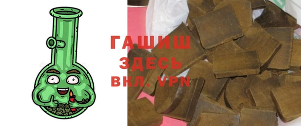 дмт Бородино