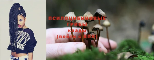 Альфа ПВП Бугульма