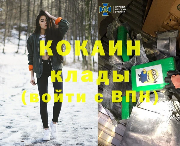 дмт Бородино