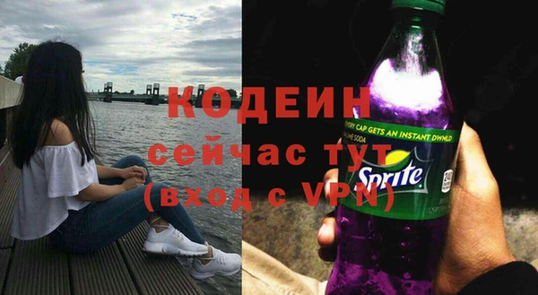 дмт Бородино